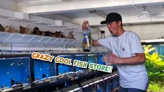 New Amazing Fish + Checking Out Huge Fish Store!!