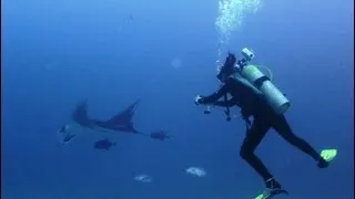 Дайвинг. Коста Рика. A really good scuba diving @Cocos Island