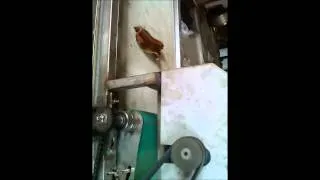 Automatic Dry Fish Cutting Machine
