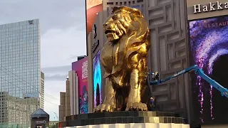 LAS VEGAS STRIP 7 AM FRIDAY 11/19/21, LOOK WHO'S GETTING A BATH. - LONEWULFRICK -  #shorts