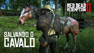 Salvando e cuidando do CAVALO FERIDO e JUDIADO  -  Red Dead Redemption 2