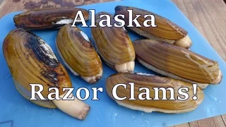 Digging Razor Clams, ALASKA STYLE! [Summer 2015-17]