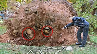 What They Found Under The Roots Of A Tree Shocked Everyone..!!