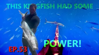 Spearfishing Kingfish Under Workups | Catch n Cook | Stuffed Squid | Smoked Kingfish