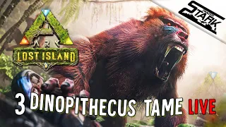 ARK Lost Island - 3.Rész (Dinopithecus Szelídítés /Új Majom) - Stark LIVE