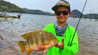 The Best Type of fishing! (Zimbabwe bream fishing!)