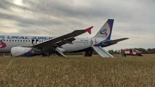 Пассажирский самолет совершил вынужденную посадку под Новосибирском