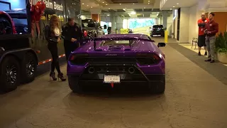 Lamborghini Performante Special Delivery!