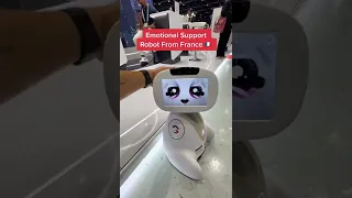 Emotional Support Robot From France🇫🇷 #shorts #robot