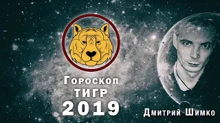 Гороскоп Тигр -2019. Астротиполог, Нумеролог - Дмитрий Шимко