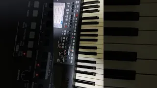 korg pa600 prontinho