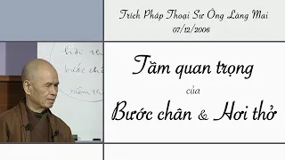 Tầm quan trọng của Bước chân và Hơi thở - Trích Pháp thoại Sư Ông Làng Mai 07/12/2006