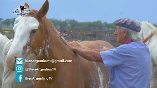 Bien Argentino - Programa 22 - Nelson Bacci