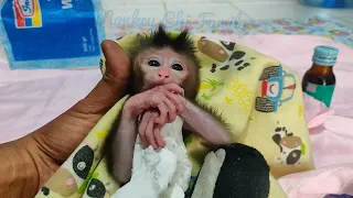 Newborn Baby Monkey Boy came Home from the Doctor, taking Medicine