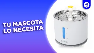 ¡Un BEBEDERO AUTOMÁTICO para tus MASCOTAS! 💧😸🐶