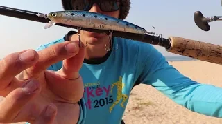 How To Catch Fish with the Lucky Craft Flash Minnow