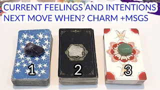 PICK A CARD 🔮 CURRENT FEELINGS & INTENTIONS FOR U 😍 WHAT'S NEXT 🤔 CHARM +MSGS ❤️ TIMELESS