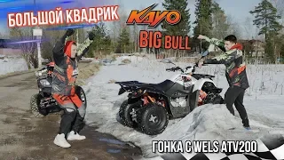 Большой квадроцикл Kayo Big Bull. Гонка с Wels ATV 200