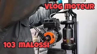 VLoG 103 malossi