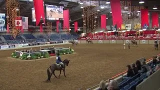 U.S. National Arabian Championship Horse Show