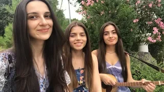Trio Mandili - Chrysanthemebi
