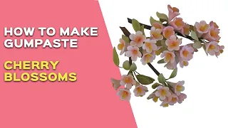 How to Make Gumpaste Cherry Blossoms - (Makes Great Filler Flowers) Video 5