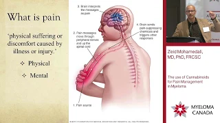 Marijuana for Pain & Neuropathy