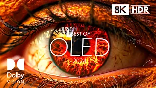 BURNING COLORS // DOLBY VISION™ HDR 8K // OLED 2024