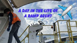 A day in the life of a ramp agent | Things to know before becoming a ramp agent