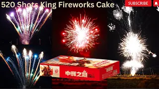 520 SHOTS KING FIREWORKS CAKE 2023 | 520发 中辉之冠