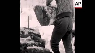 CAN 053 LOGS ARE TRANSPORTED ON DOG SLED IN GRAFENAU, BAVARIA