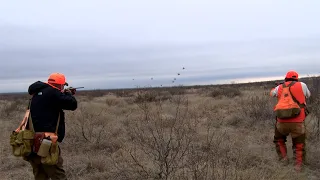 Wingshooting Adventures