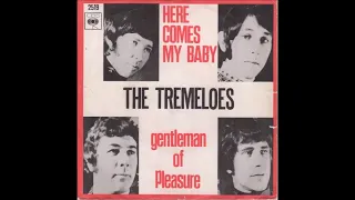 "Here Comes My Baby" by The Tremeloes 1967