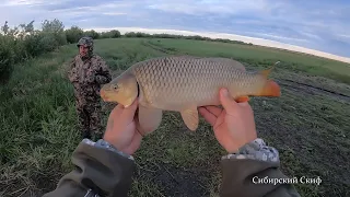 Если так сделать!!! То, поймаешь сазана. Рыбалка на САЗАНА