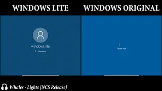 Windows 10 lite vs original 2021