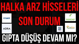 TARKİM REEDER ADGYO HATSAN GIPTA HALKA ARZ SON DURUM - KAÇ TAVAN YAPAR?