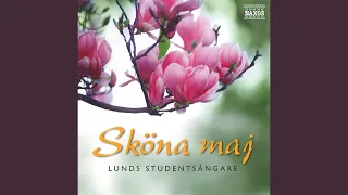 Under rönn och syrén