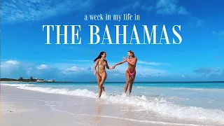 a week in my life in the bahamas ~pig island, shark diving & more~