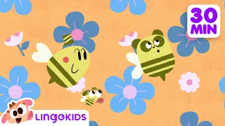 BEES DINOSAURS AND MORE FUN CARTOONS 🐝🦖 Science for Kids | Lingokids