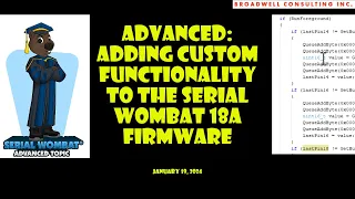 Adding Custom Functionality to the Serial Wombat 18AB Firmware