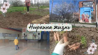 Участок не дает покоя // Что сделали за выходные // Жизнь на Кубани