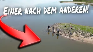 So fängst Du JETZT deine Zander. Angeln an der Elbe.