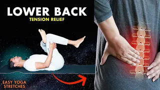 Yoga for Lower Back Pain Relief | Beginners Tension Relief Yoga Stretches