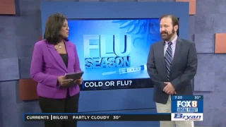 Cold vs. Flu - Dr. Wallis on WVUE FOX 8 News
