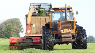 Fiat 1580 DT in the field chopping grass w/ Taarup 622 Forage Harvest | Silage Season 2021