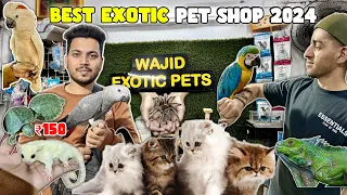Exotic Pet Shop In Mumbai 2024 | Delivery All Over India | All Type Of Birds and Animal Available.