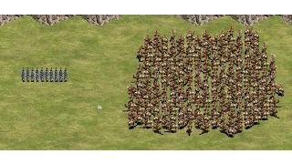 40 Elite Teutonic Knights vs 200 Mamelukes