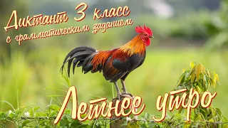 Диктант c грамматическим заданием! 3 класс. Летнее утро #диктант3класс #диктант