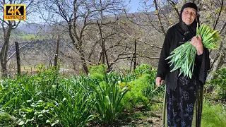 Granny cooks with garden plants. Documentary ▫️4k▫️