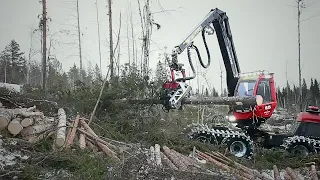 I visited a Komatsu Harvester at work